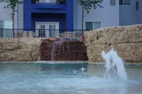 Best Western Lubbock West Inn  Suites - Swimmingpools