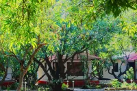 The Wilds Villa Gir Jungle Stay with Swimming Pool Hotels near Naliyamandavi
