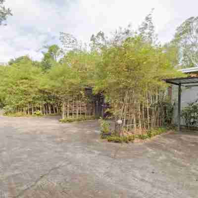 OYO 757 Black Bamboo Resort Hotel Exterior