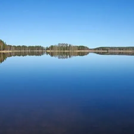 Näätämö