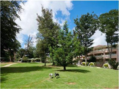 庭 小谷流の里 ドギーズアイランドの写真