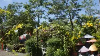 Kampot Nature Villa Resort - Biệt thự