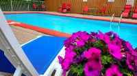 Riviera Inn & Suites 1000 Islands - Pool