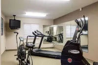 Quality Inn & Suites Watertown Near Prairie Lakes Ice Arena - salle de sport