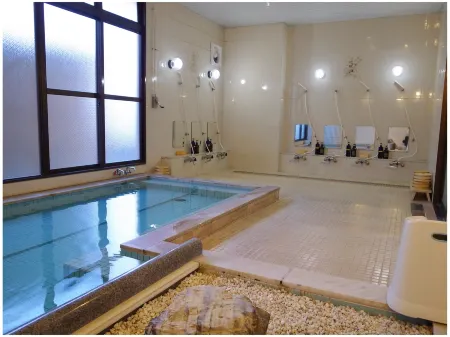 Hotel Shirane Отели рядом со станцией JR Higashi-Hanawa station