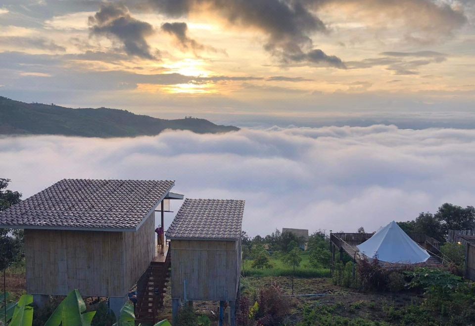 미스티 밸리 인생샷