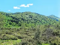 Ravno