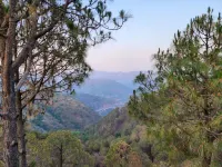 Pihu's Nest Kasauli فنادق في Parwanoo