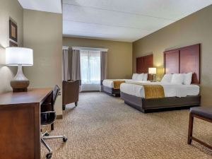 Comfort Inn & Suites Mocksville I-40