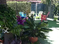 Teavapiti Lodge