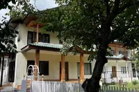 Walnut Tree Pahalgam