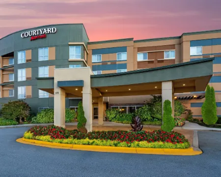 Courtyard Atlanta McDonough Hotels in Henry County