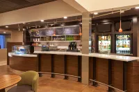 芝加哥伍德戴爾/伊塔斯卡萬怡酒店 - 酒吧