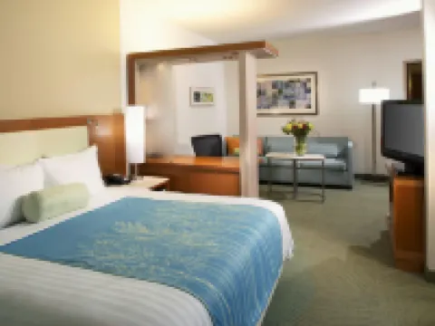 休斯頓國家航空航天局/韋伯斯特萬豪SpringHill酒店 韋伯斯特酒店