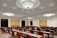 Sheraton Sharjah Beach Resort & Spa - Business