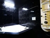 Rex Hotel - Pet friendly