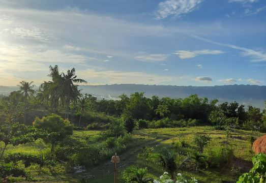 통고 힐 코티지 썸네일