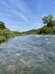 Tranquil Log Cabin adjacent to Mark Twain National Forest + minutes to the river