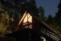 Come enjoy nature in our cabin !