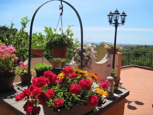 Mascali: "Il casale degli aranci" house / villa  with garden  3 rooms - 2/5 persons Hotels in Mascali