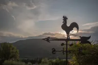 HOLIDAY HOUSE L'USIGNOLO