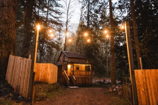 The Hide & Seek: vintage modern forest cabin with sauna