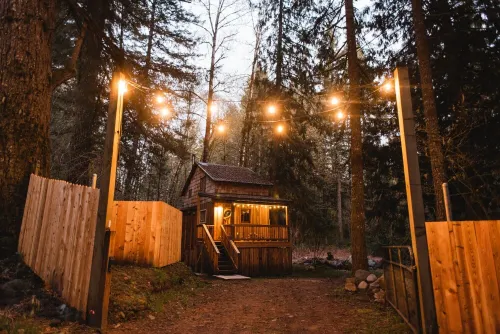 The Hide & Seek: vintage modern forest cabin with sauna