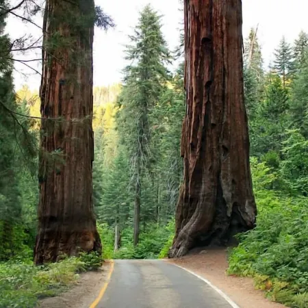 Romantic Couples Cabin near Park Gate Entrance to Sequoia Nat'l Park
