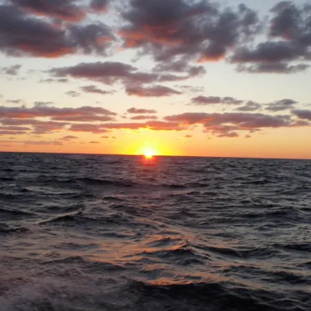 Soundfront Property With Gorgeous Sunsets And Easy Access For Water Sports!!