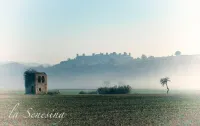La Senesina, Monteriggioni, Siena. In the best countryside of Tuscany !