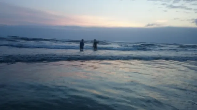 Pacific Dreams Beach House- Beach front! Gorgeous views! Meticulously sanitized!