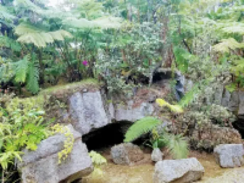 Ama'u Lani Cottage minutes from Volcano Village & Hawaii Volcanoes National Park Hotels in Volcano