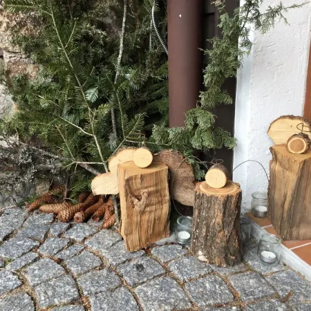 3-room apartment in "Les Pommes de Pin" chalet, with terrace and garden