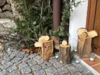3-room apartment in "Les Pommes de Pin" chalet, with terrace and garden