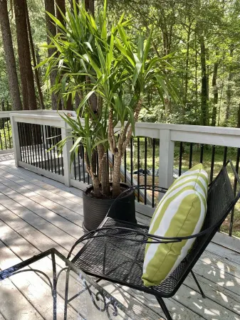 Honey House—beautiful Modern Loft Near with Uva, Monticello and Downtown