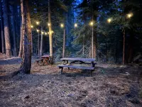 Secluded Cabin with Hot tub on spacious private lot