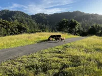 Sweeping Views, Private Deck,  Outdoor Spa, Unit #2