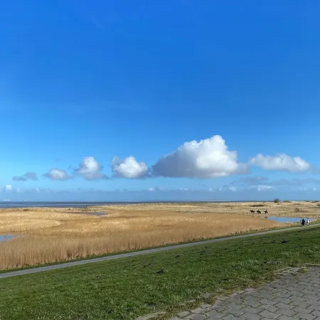 Vacation at the Wadden Sea, child and animal-friendly vacation at the nature reserve
