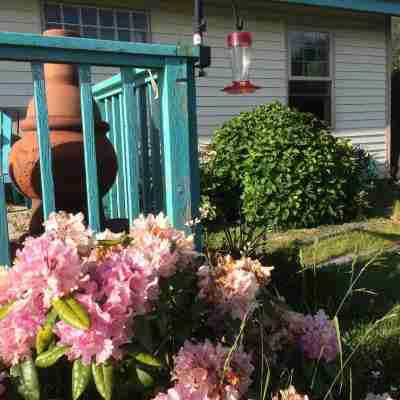Cottage by the Sea June 2-17Available Hotel Exterior