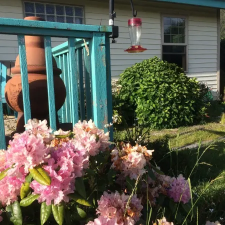 Cottage by the Sea June 2-17Available