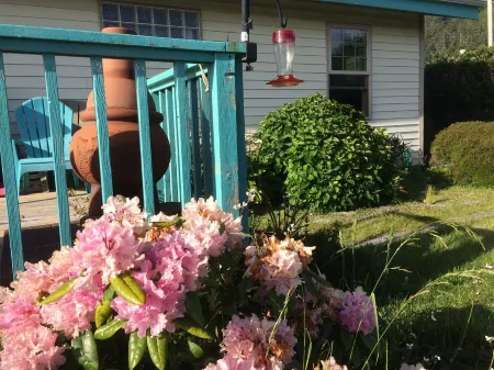 Cottage by the Sea Aug. 9-13 Available Отели рядом с достопримечательностью «Яхайк Трейл»