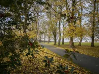 Single storey 2 bedroom lodge Hotels in Wetherby