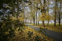 Single storey 2 bedroom lodge Hotels in Wetherby