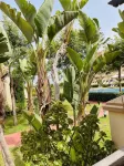 Apartamento en Villaromana Golf a 5 min de la Playa - Roquetas de Mar