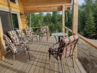 Quiet cabin in the woods with beautiful ocean views on the rocky Maine coast!