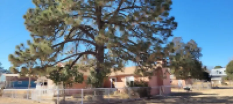 Luxury Adobe Home near Marfa and McDonald Observatory