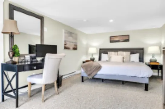 Shamrock by the Sea: Hot Tub, Arcade, Basketball