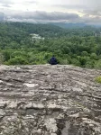 Walk to Waterfalls!  Cozy All Seasons Highlands Cabin 6 min to Town - Gym