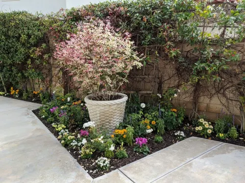 Walk to Pier, Beach, and Downtown