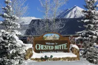 Cozy Cabin in the Heart of it All - Unbeatable Location!